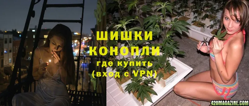 МАРИХУАНА LSD WEED  где купить наркоту  Котлас 